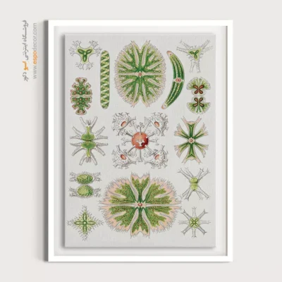 تابلو جانوران دریایی - اسپو دکور