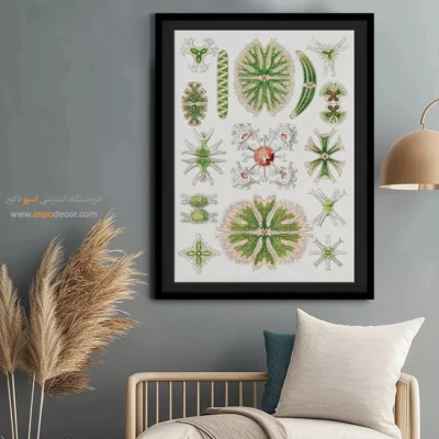 تابلو جانوران دریایی - اسپو دکور