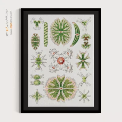 تابلو جانوران دریایی - اسپو دکور