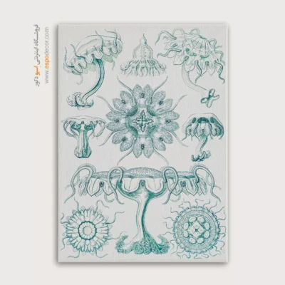 تابلو جانوران دریایی - اسپو دکور