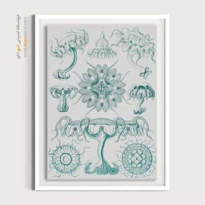 تابلو جانوران دریایی - اسپو دکور