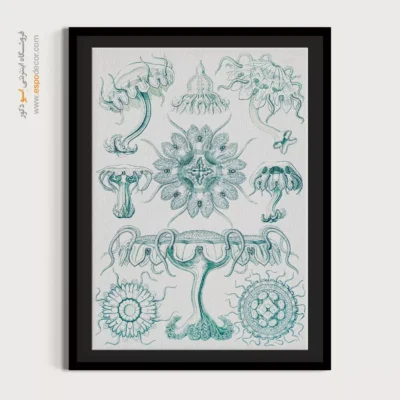 تابلو جانوران دریایی - اسپو دکور