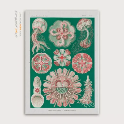 تابلو جانوران دریایی - اسپو دکور