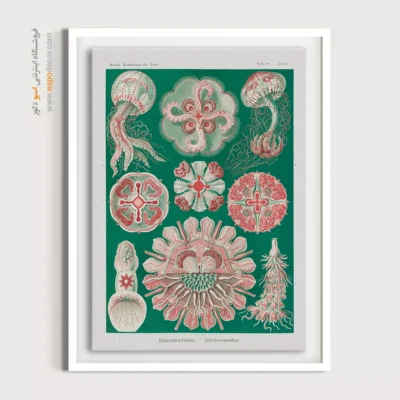 تابلو جانوران دریایی - اسپو دکور