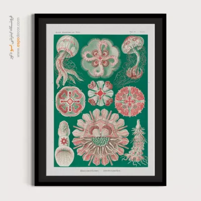 تابلو جانوران دریایی - اسپو دکور