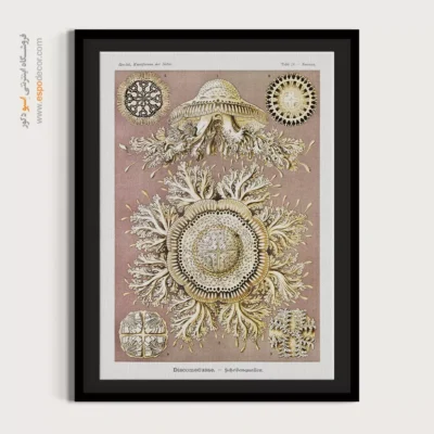 تابلو جانوران دریایی - اسپو دکور