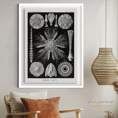 تابلو جانوران دریایی - اسپو دکور