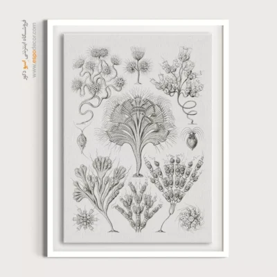 تابلو جانوران دریایی - اسپو دکور