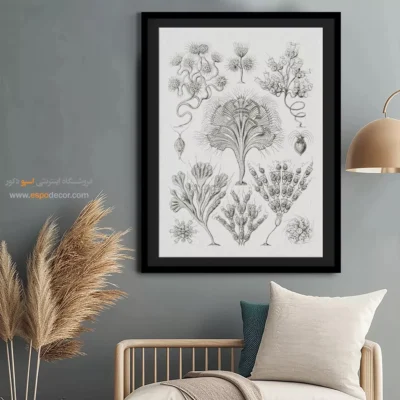 تابلو جانوران دریایی - اسپو دکور