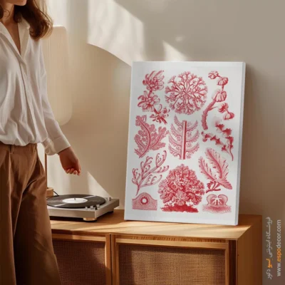 تابلو جانوران دریایی - اسپو دکور