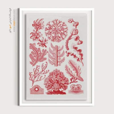 تابلو جانوران دریایی - اسپو دکور