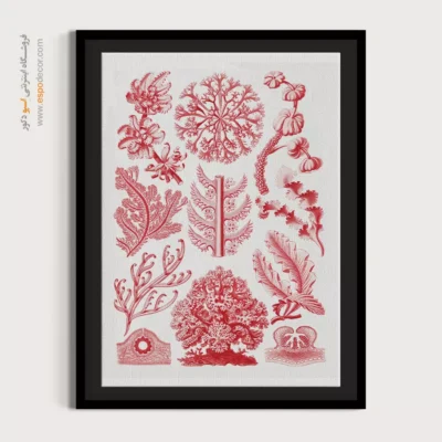 تابلو جانوران دریایی - اسپو دکور