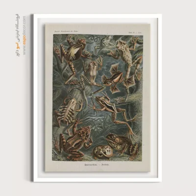 تابلو جانوران دریایی - اسپو دکور