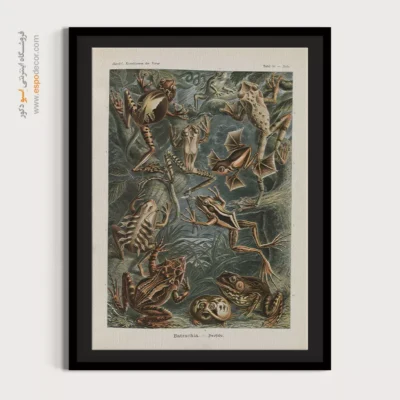 تابلو جانوران دریایی - اسپو دکور