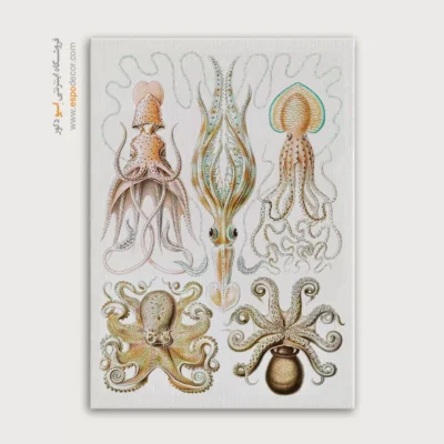 تابلو جانوران دریایی - اسپو دکور