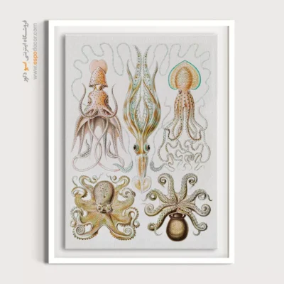 تابلو جانوران دریایی - اسپو دکور