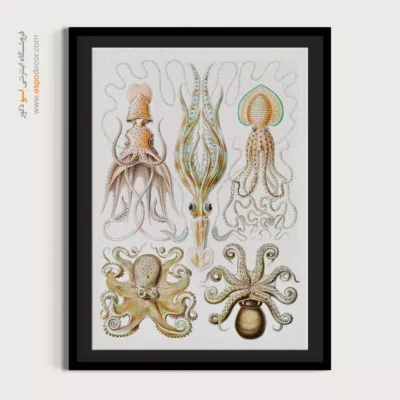 تابلو جانوران دریایی - اسپو دکور