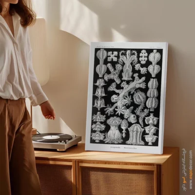 تابلو جانوران دریایی - اسپو دکور