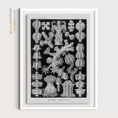 تابلو جانوران دریایی - اسپو دکور