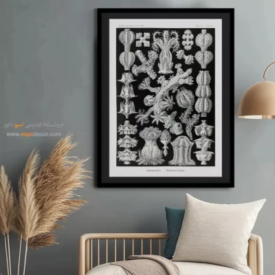 تابلو جانوران دریایی - اسپو دکور