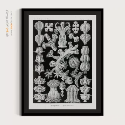 تابلو جانوران دریایی - اسپو دکور