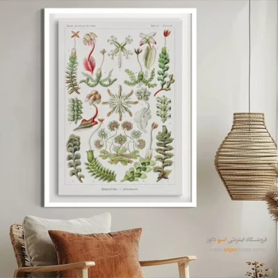 تابلو جانوران دریایی - اسپو دکور