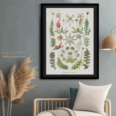 تابلو جانوران دریایی - اسپو دکور