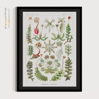 تابلو جانوران دریایی - اسپو دکور