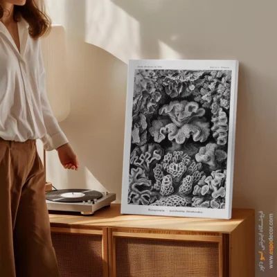 تابلو جانوران دریایی - اسپو دکور