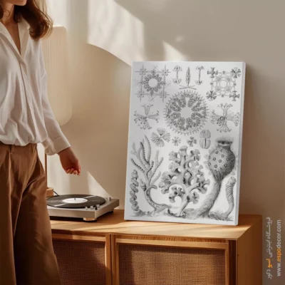 تابلو جانوران دریایی - اسپو دکور