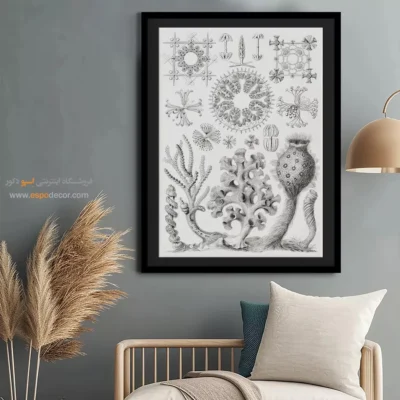 تابلو جانوران دریایی - اسپو دکور