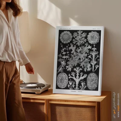 تابلو جانوران دریایی - اسپو دکور