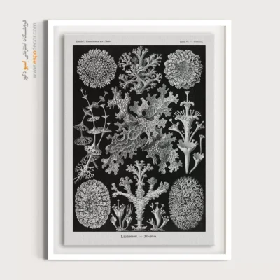 تابلو جانوران دریایی - اسپو دکور