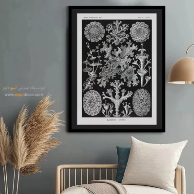 تابلو جانوران دریایی - اسپو دکور