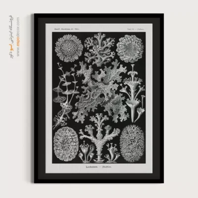 تابلو جانوران دریایی - اسپو دکور