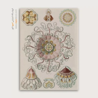 تابلو جانوران دریایی - اسپو دکور