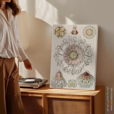 تابلو جانوران دریایی - اسپو دکور