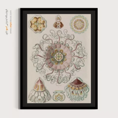 تابلو جانوران دریایی - اسپو دکور