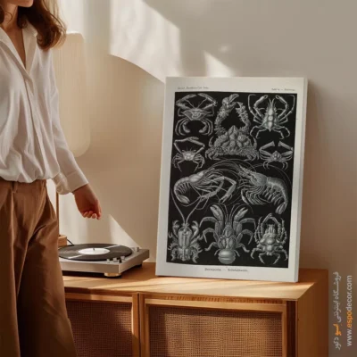 تابلو جانوران دریایی - اسپو دکور