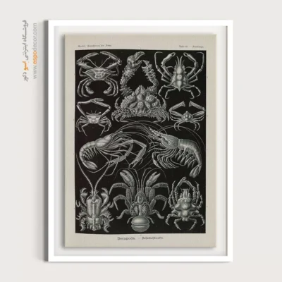 تابلو جانوران دریایی - اسپو دکور