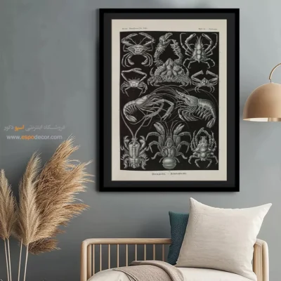 تابلو جانوران دریایی - اسپو دکور