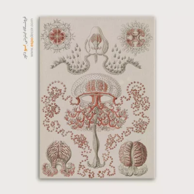 تابلو جانوران دریایی - اسپو دکور