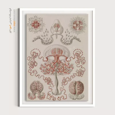 تابلو جانوران دریایی - اسپو دکور