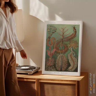 تابلو جانوران دریایی - اسپو دکور