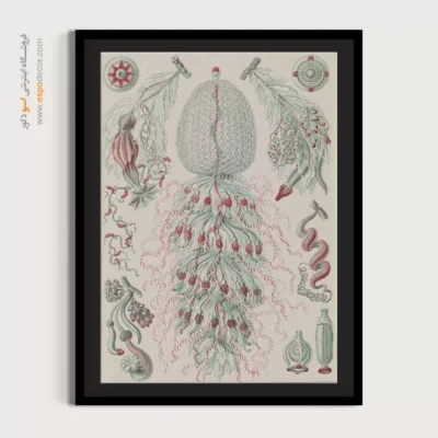 تابلو جانوران دریایی - اسپو دکور