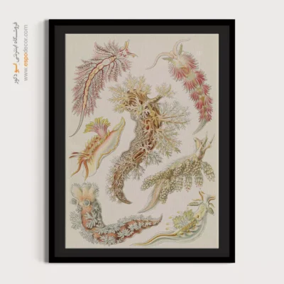 تابلو جانوران دریایی - اسپو دکور