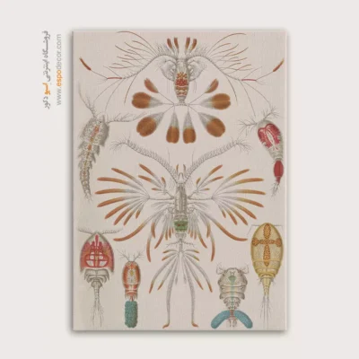 تابلو جانوران دریایی - اسپو دکور