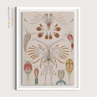 تابلو جانوران دریایی - اسپو دکور