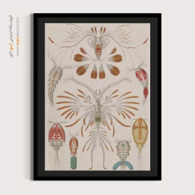 تابلو جانوران دریایی - اسپو دکور