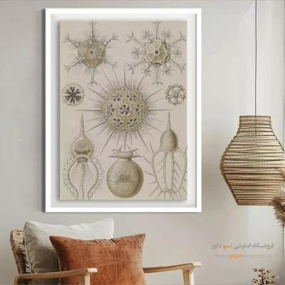 تابلو جانوران دریایی - اسپو دکور